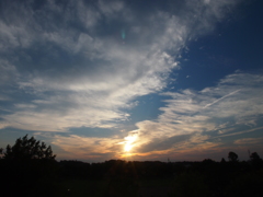 P9211380