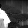 夜梅祭(1)