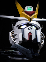 ZGMF-X10A