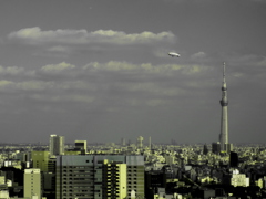 雨上がりに見た幻