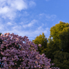 上野の空(1)