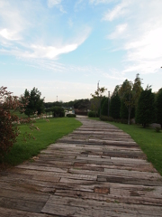 P9211397