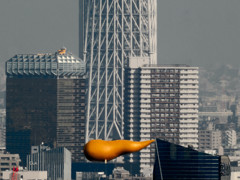 根本
