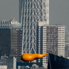 根本