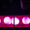 夜梅祭(5)
