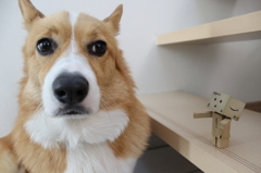 ねえねえ
