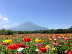 夏富士