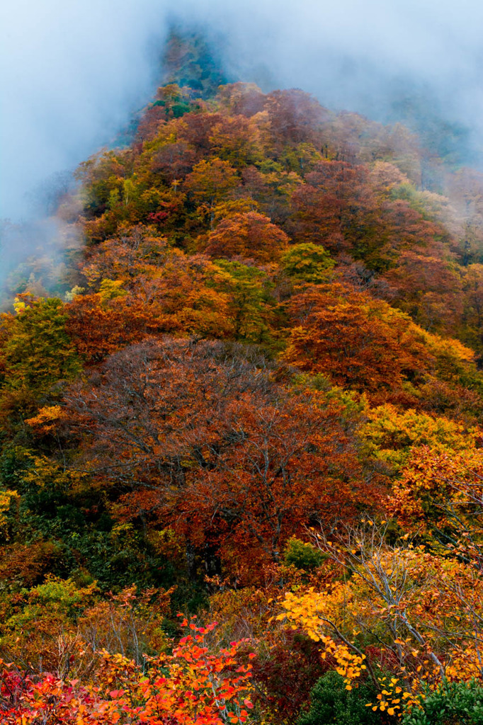 上越の紅葉３