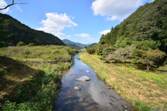 秋