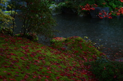 雨⑩
