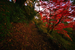 唐澤山神社③