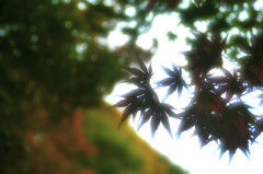 秋のシルエット