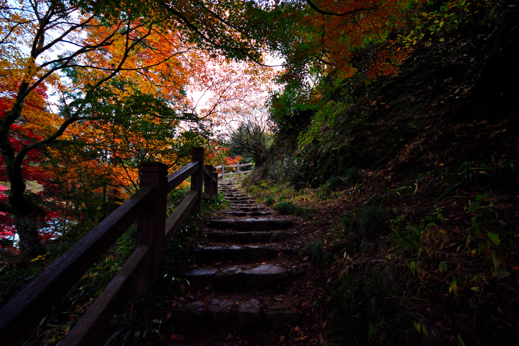 唐澤山神社⑥