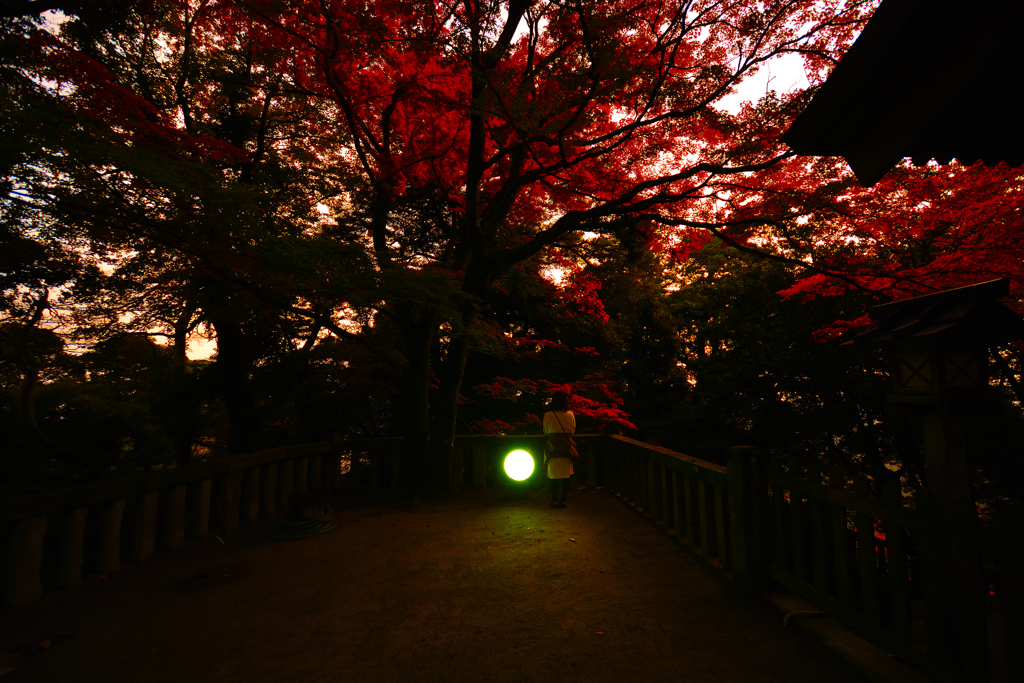 唐澤山神社②