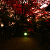 唐澤山神社②