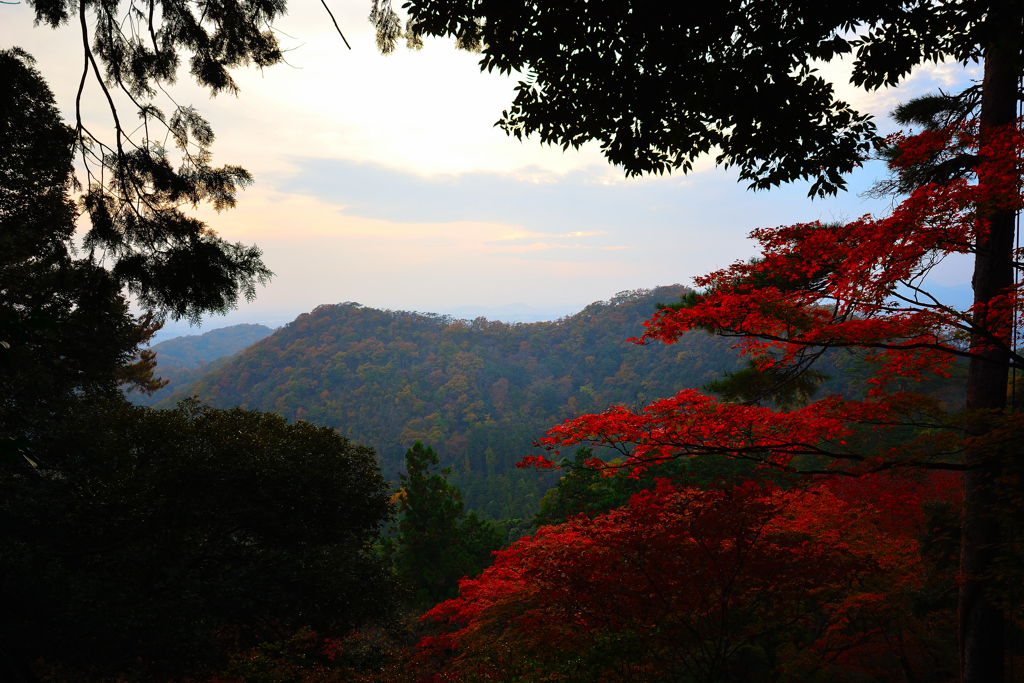 唐澤山神社④