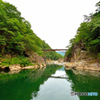虹見の橋