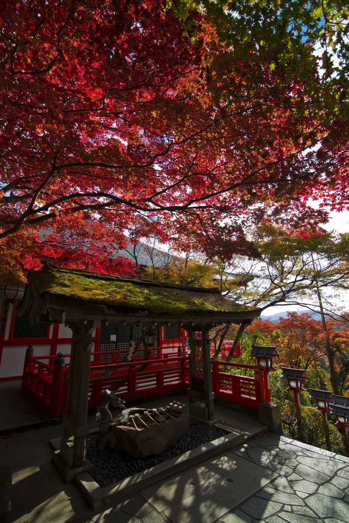 鞍馬寺の紅葉