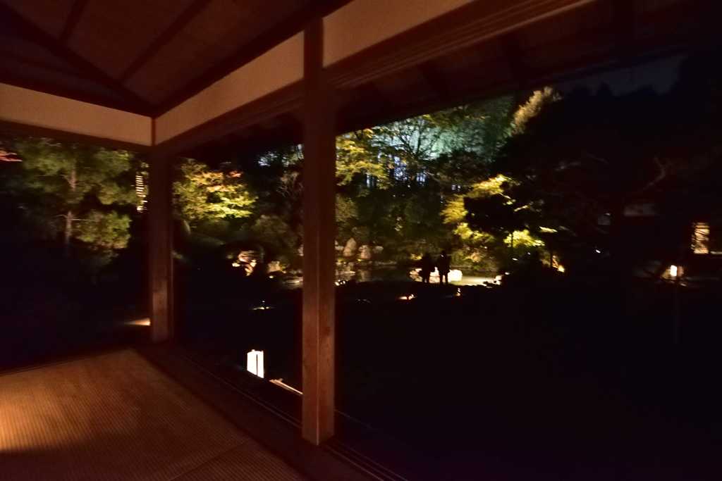 茶室からのライトアップ