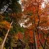 峰定寺の紅葉