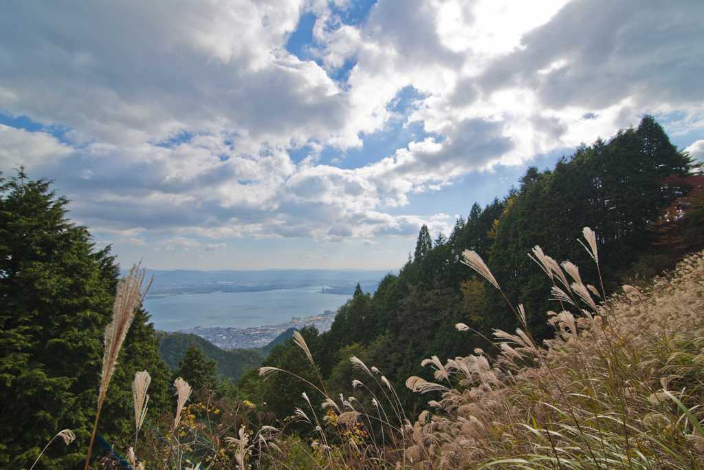 ススキと琵琶湖