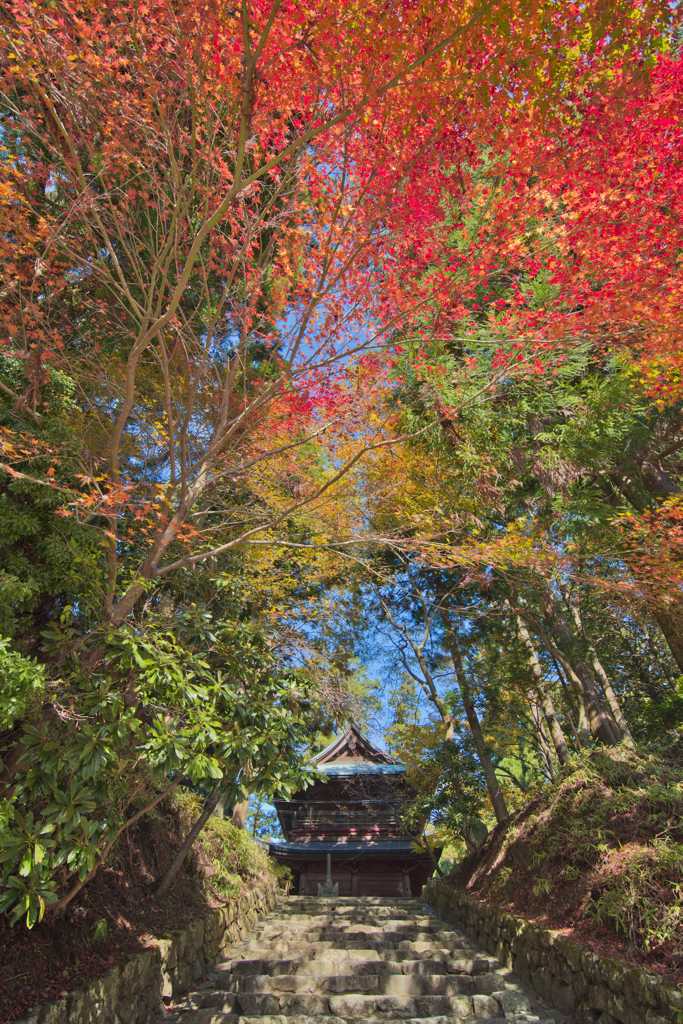 染まる紅葉