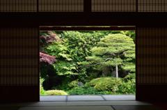 6月の窓