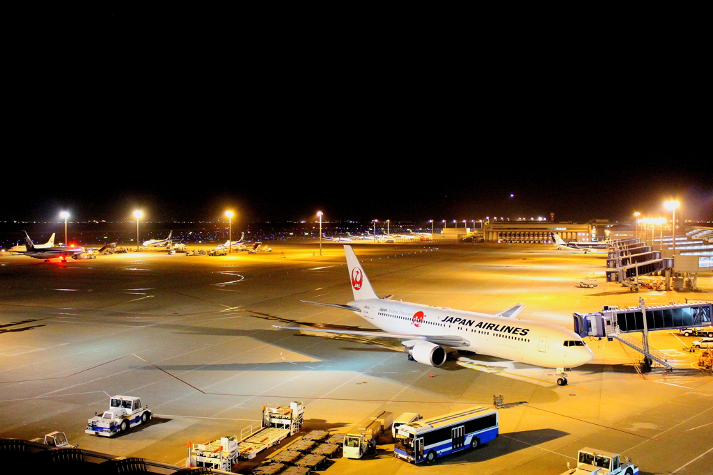 nippon 