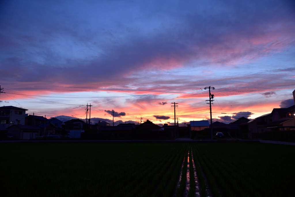 夕焼け