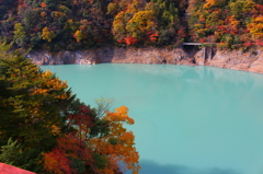 秋と湖