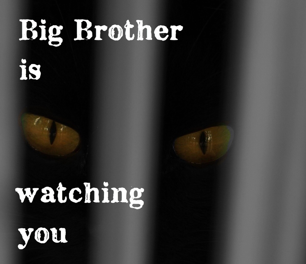 「BIG BROTHER」