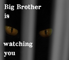 「BIG BROTHER」