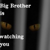 「BIG BROTHER」