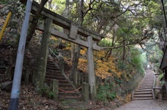 「黄色の鳥居」