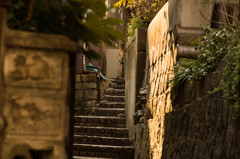 広島旅情編～階段