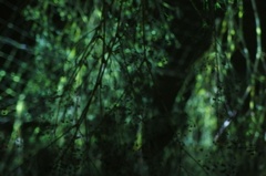 「サイバー世界」