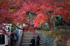 「修学旅行」