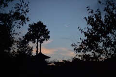 「もしかすると、パンクな世界」