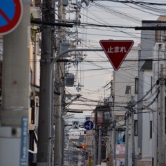 「絡まる電線」
