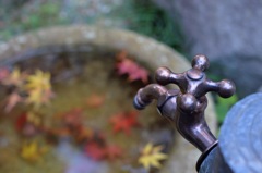 「極彩色の吹き溜まり」