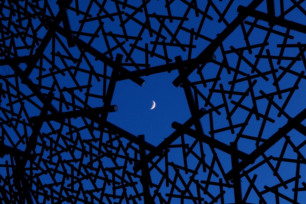 「つかまえた！」