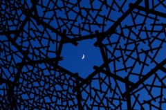 「つかまえた！」