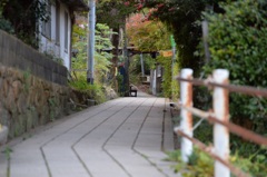 「山の踊り場」