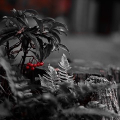 「朱の出立ち」