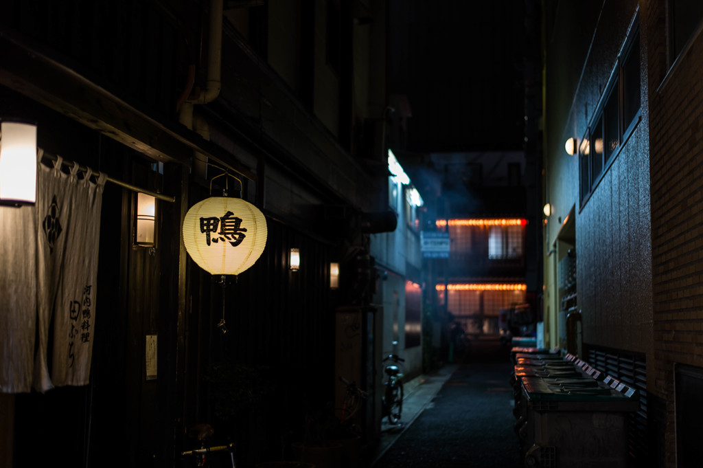 鴨と霞
