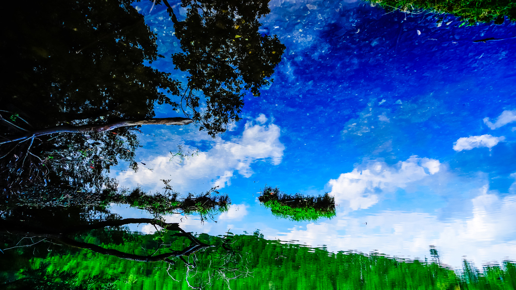 Pond sky