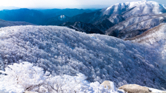 樹氷山