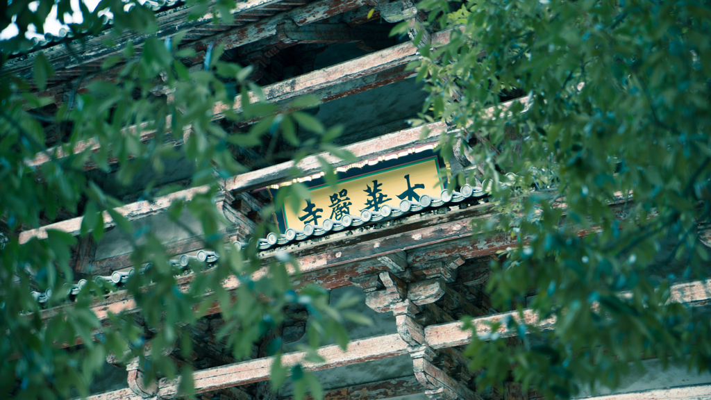 覗く巨大門