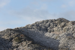 雪景色の山