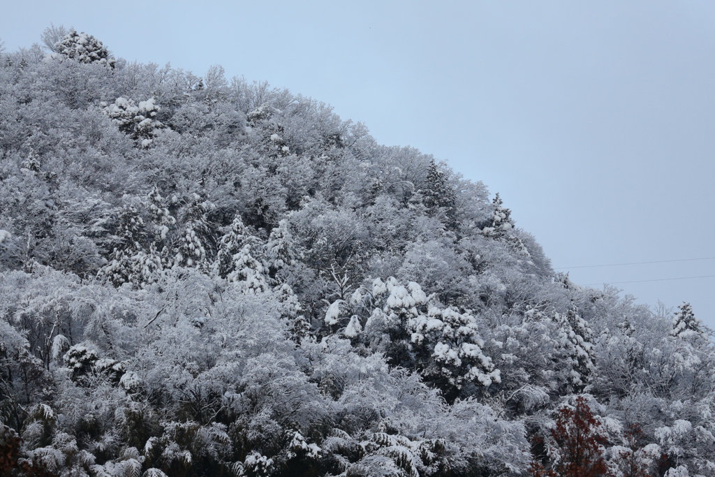 雪化粧の山